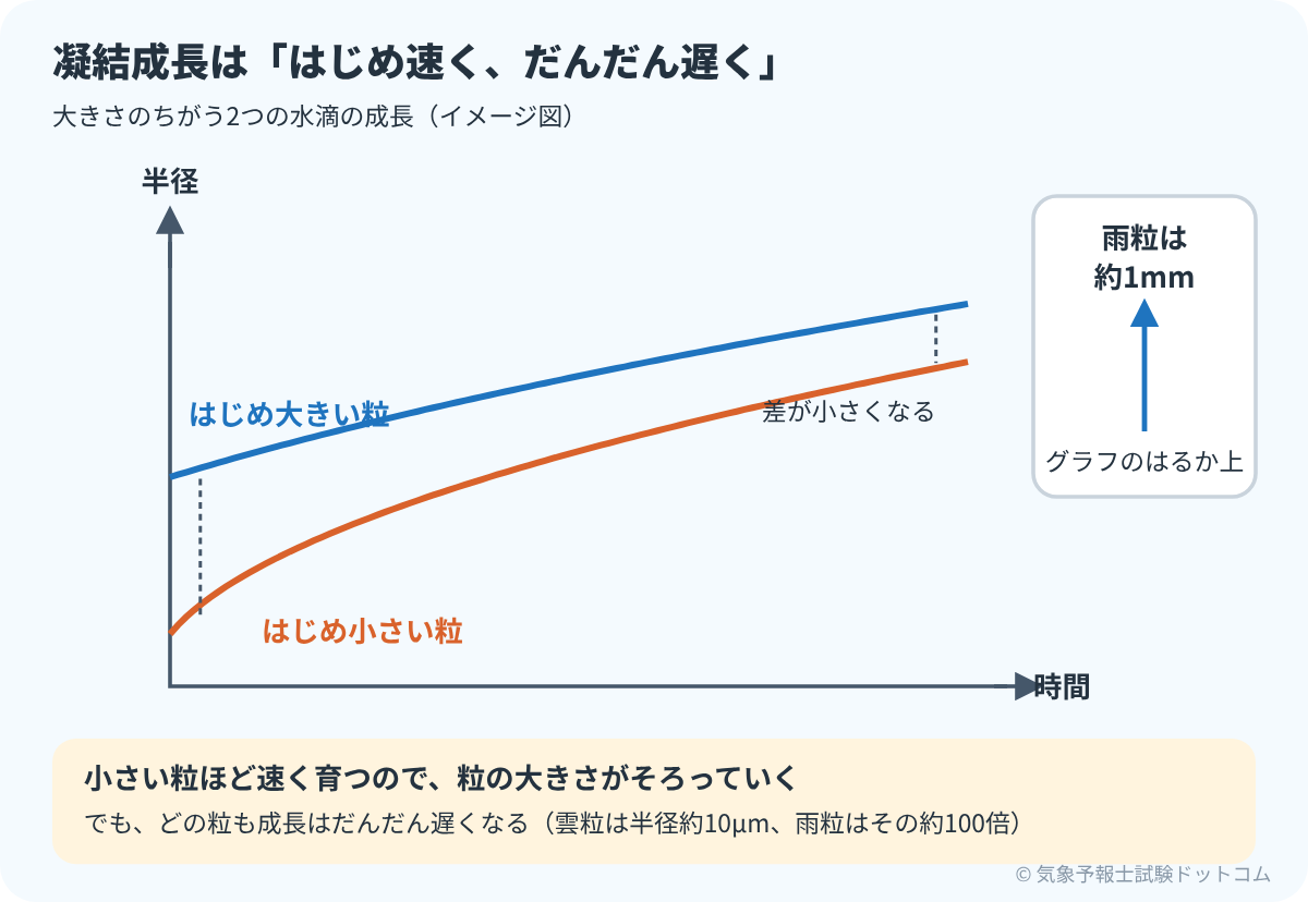 はじめ大きい水滴と小さい水滴の半径の時間変化。どちらも成長がだんだん遅くなり、半径の差が小さくなっていくイメージ図