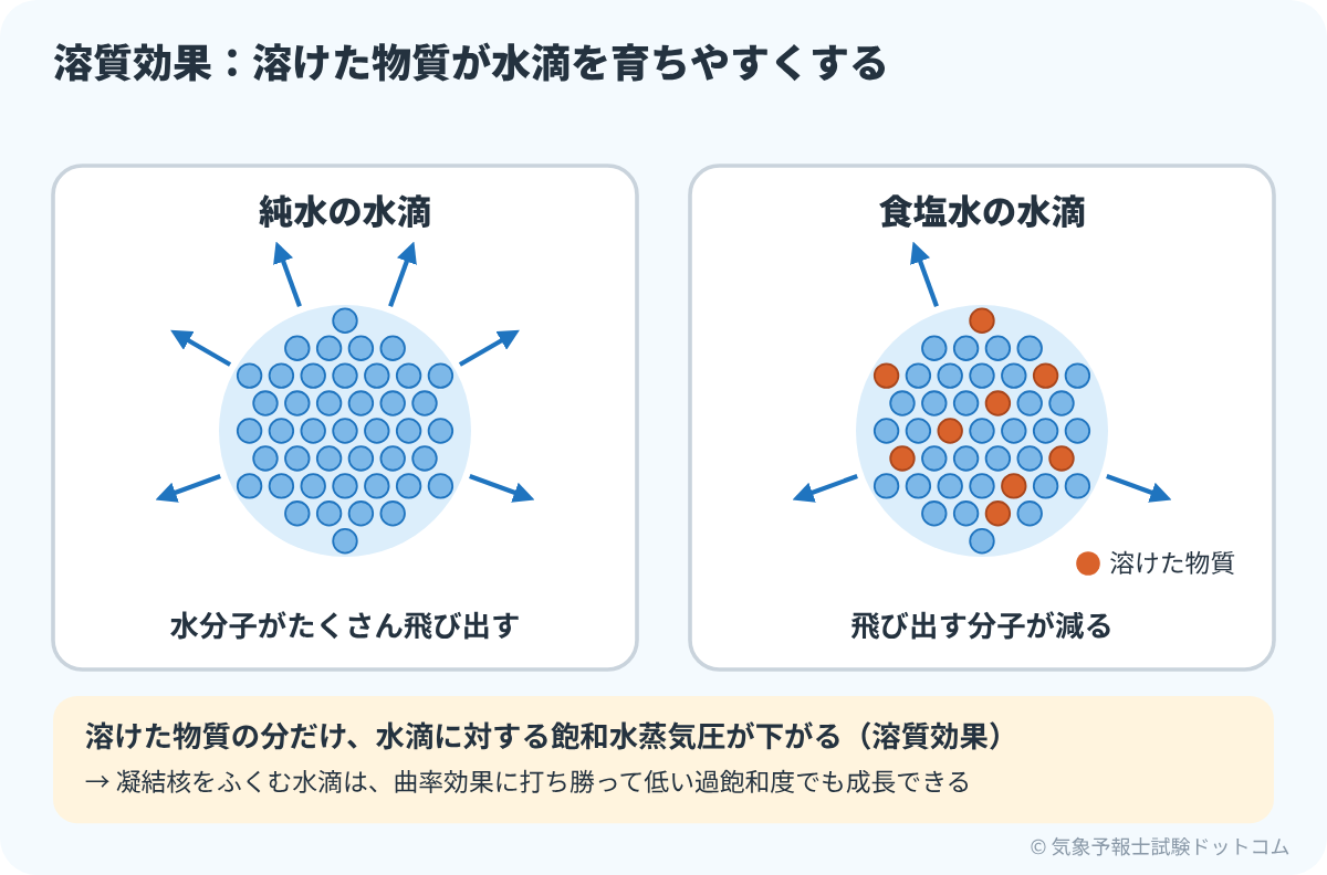純水の水滴では水分子がたくさん飛び出し、食塩水の水滴では溶けた物質のために飛び出す分子が減ることを比べた図